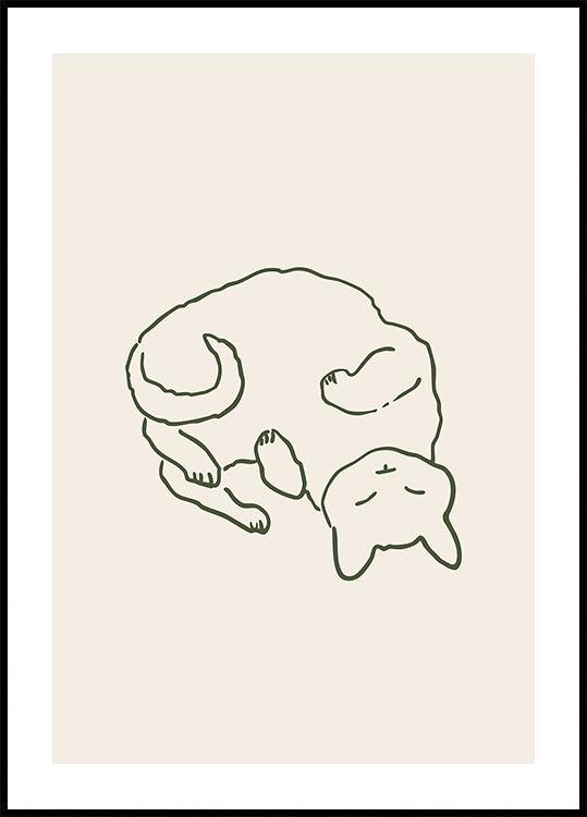 Gato aconchegante e carinhoso (NOVO)