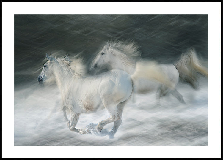 Póster galope em um duelo