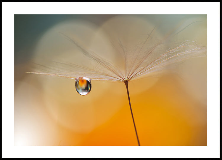 Pequena Música Noturna...