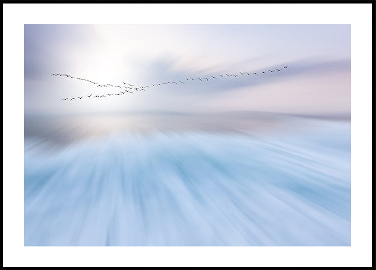 Póster fly over