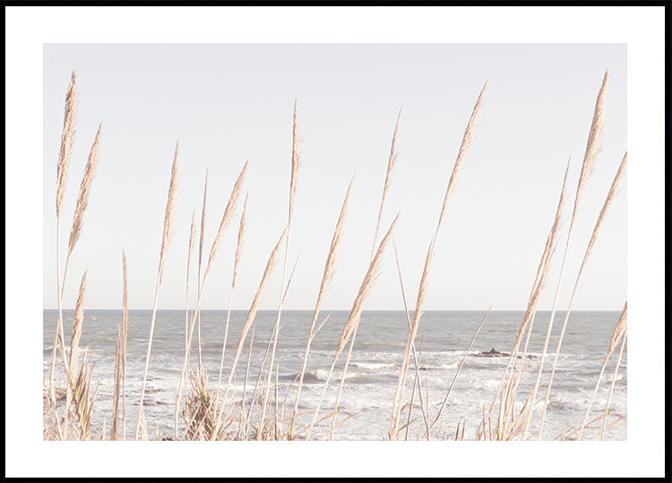 Pôster Beach_Vass_002
