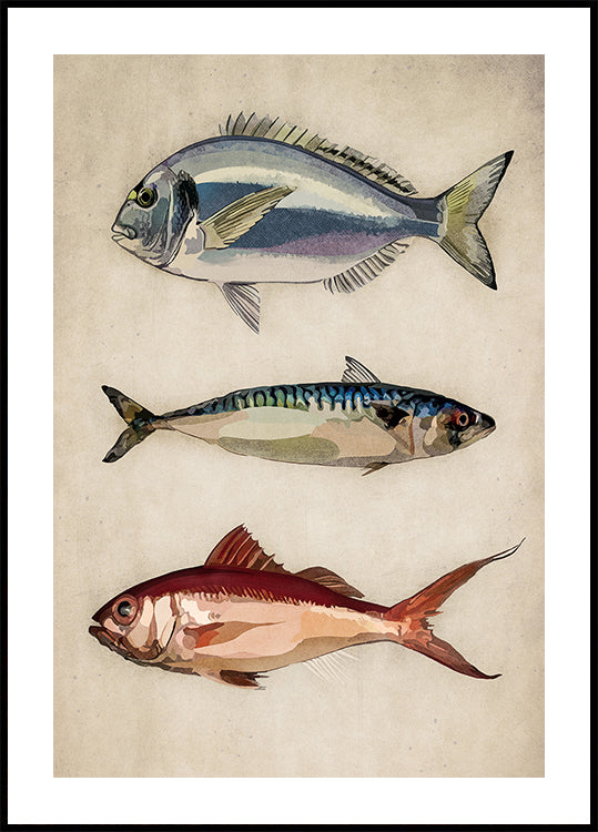 Trio da Vida Oceânica
