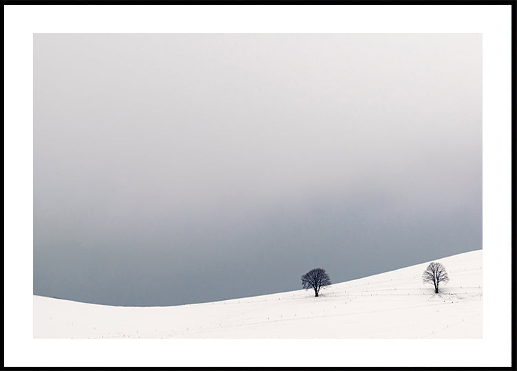 Póster Dois Sozinhos