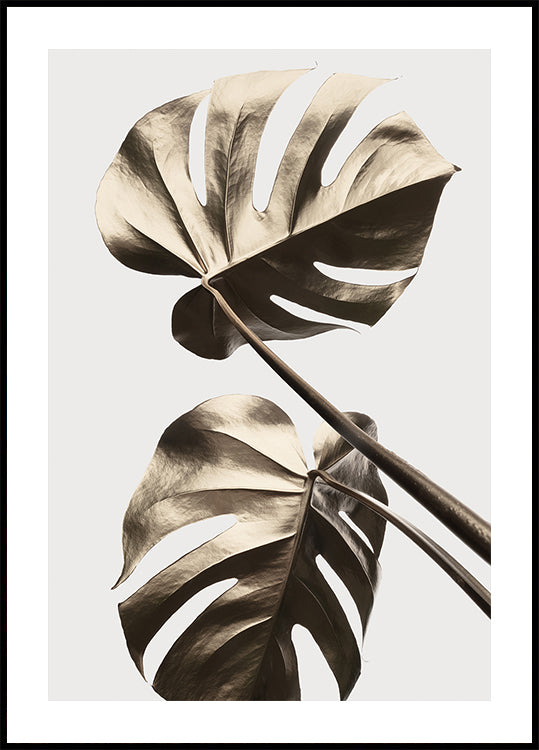 Pôster Monstera Ouro 08
