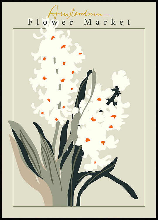 Póster Jacinto de Amsterdã do mercado de flores