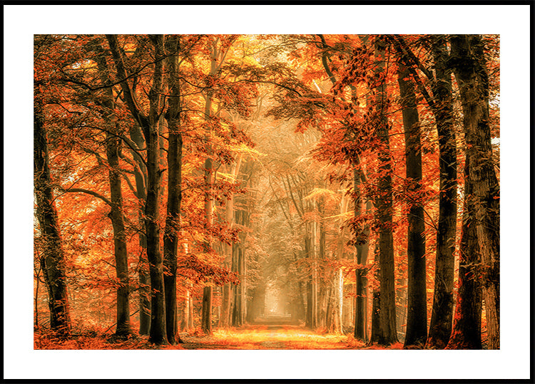 Saia do pôster do portal