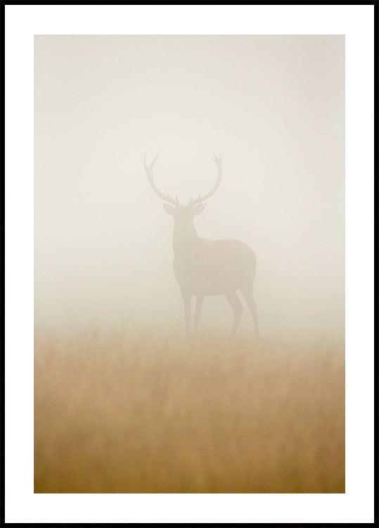 Póster Veado Fantasma