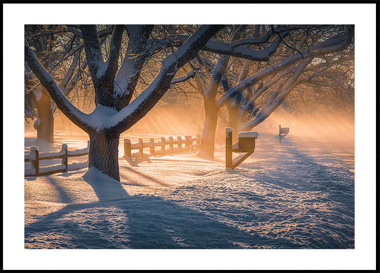 Póster Depois da Tempestade de Neve