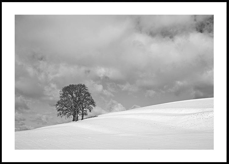 Póster Um dia nublado de inverno