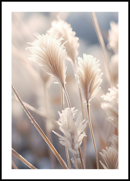 Pôster Elegância Fosca