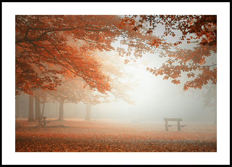 Póster As maravilhas da natureza