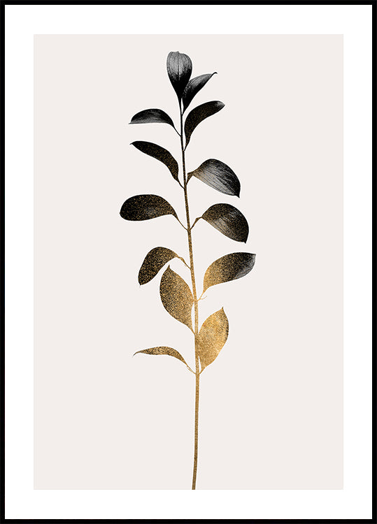 Monocromática No.9 Ouro Escuro