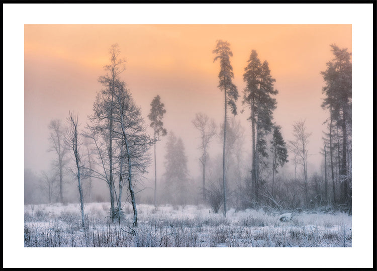 Póster Frosty Morning