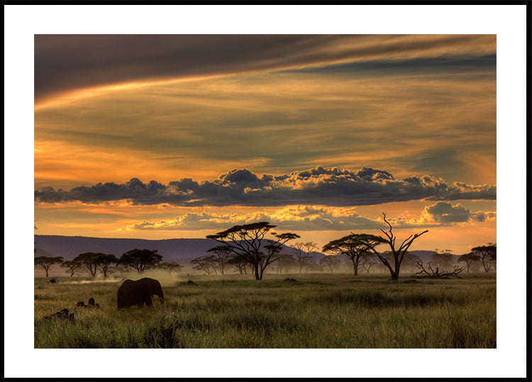 Póster África