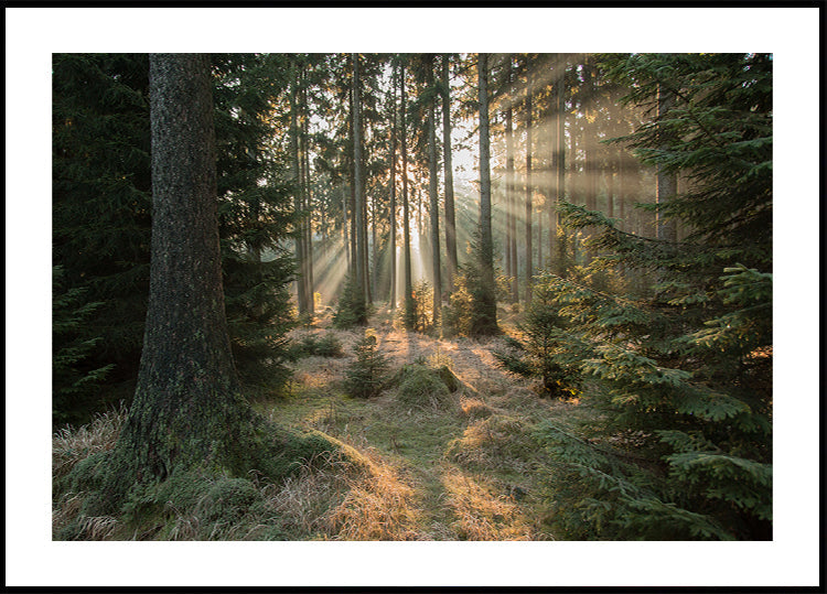 Pôster Raios, Parte 2