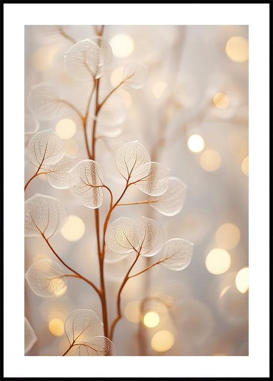 Póster Brilho Etéreo