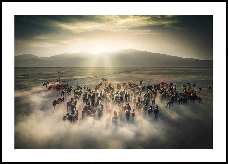 Póster Cavalos Selvagens