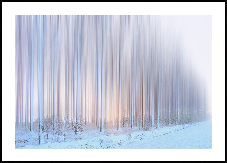 Póster uma cortina de árvores