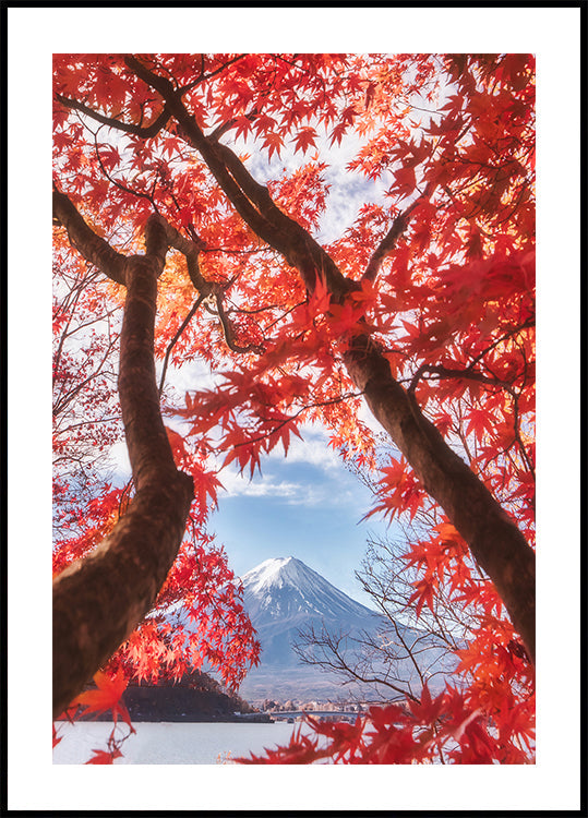 Póster Mt.fuji está nas folhas de outono