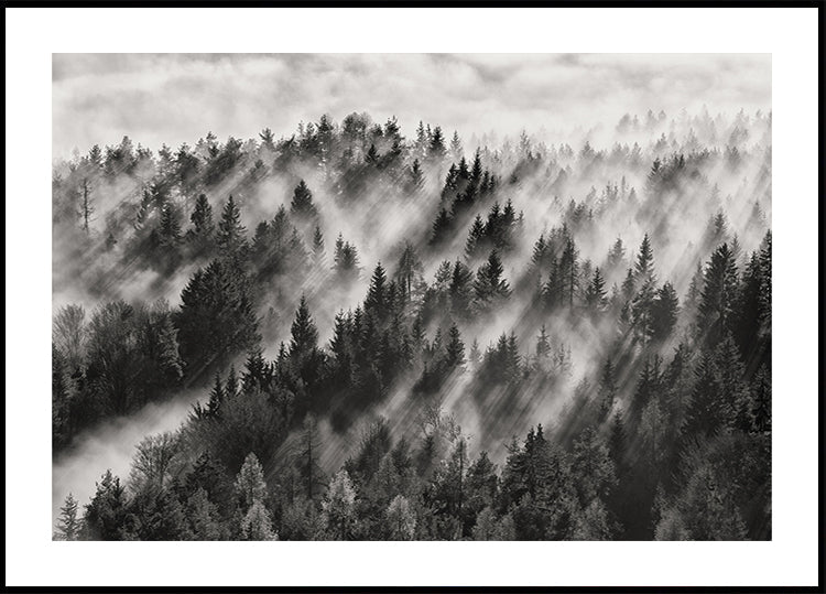 Pôster Sundance No.1