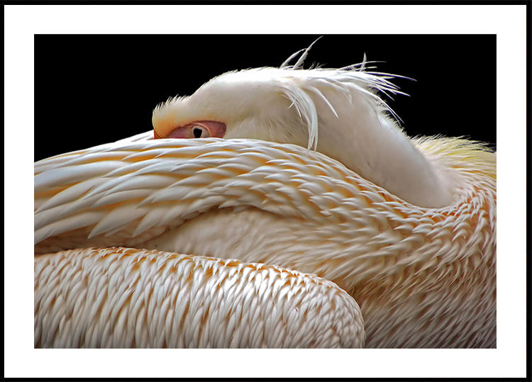 Estar meio adormecido...