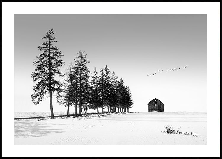 Um pôster de dia ensolarado de inverno
