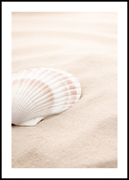 Pôster Shell_3