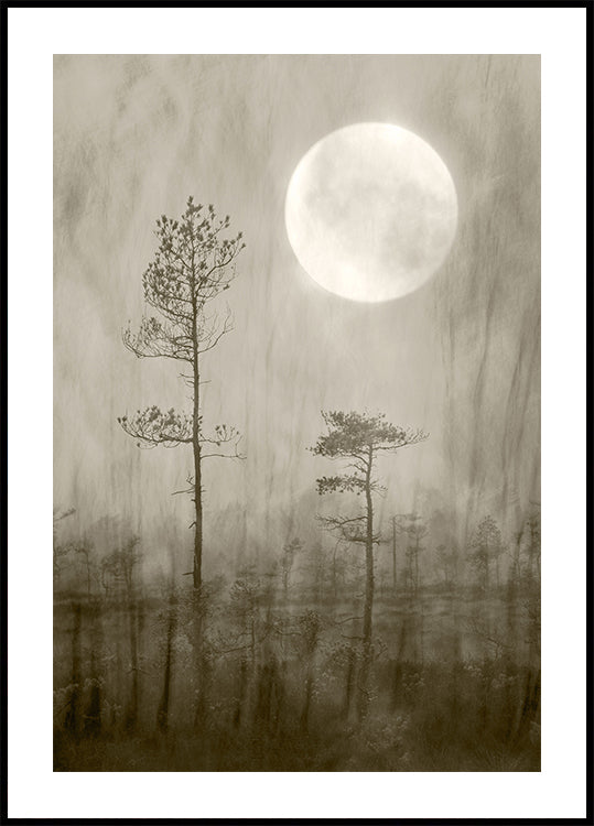 Pôster Moonlight Moor