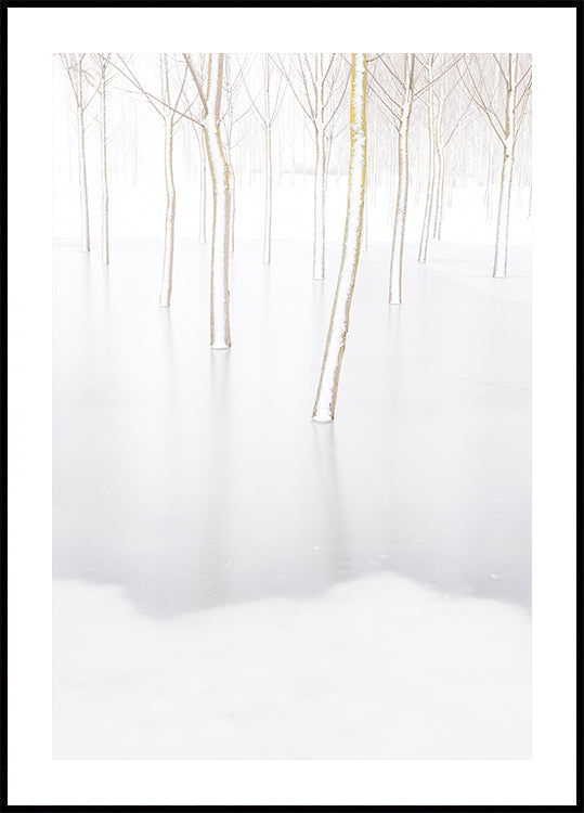 Pôster de reflexão de inverno