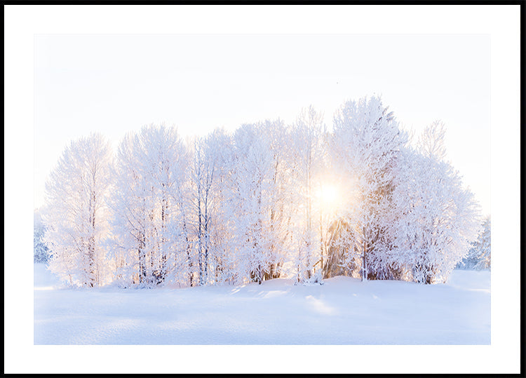 Póster A luz retorna