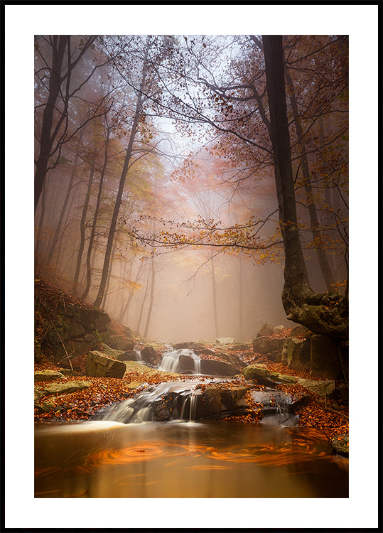 Póster Mistyc mist