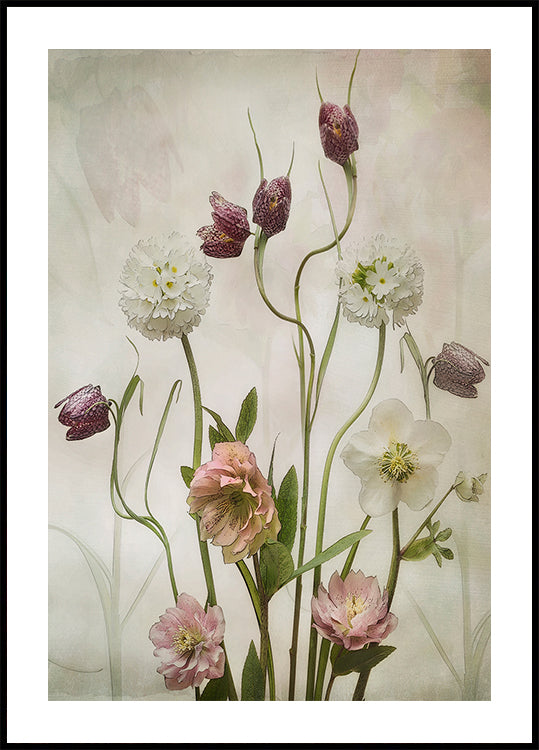 Jardim Primavera
