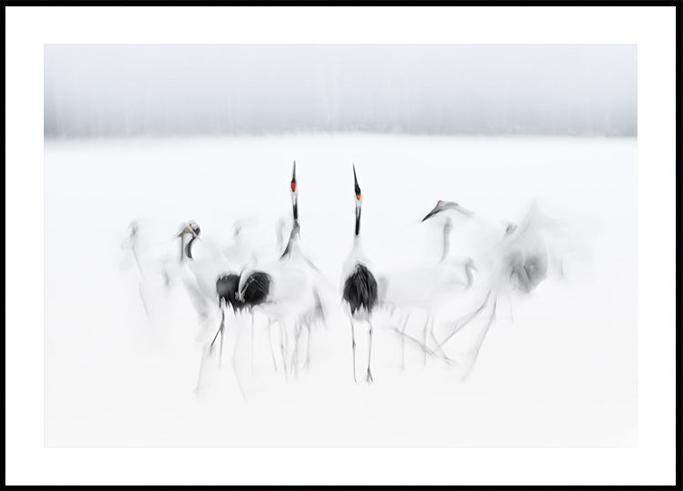 Póster Ballet caligráfico