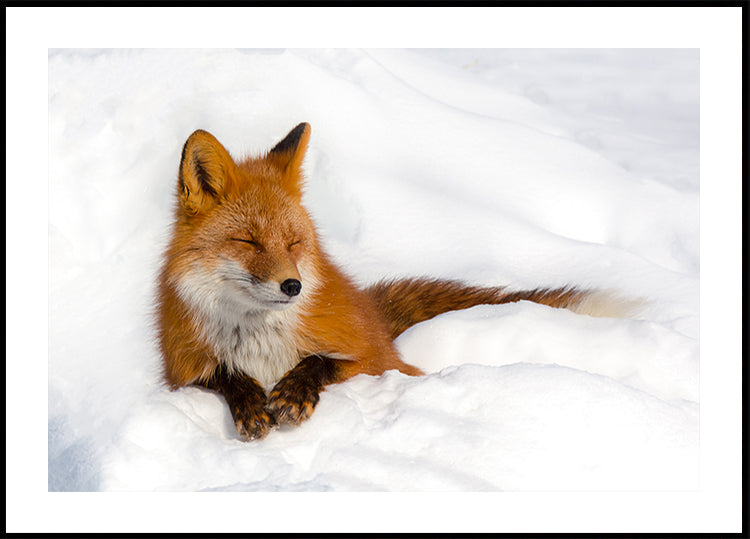 Pôster de diversão