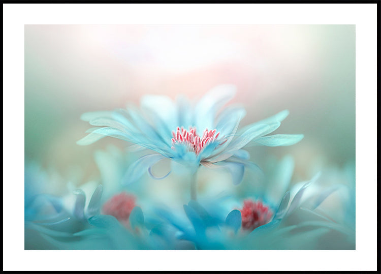 Fantasia