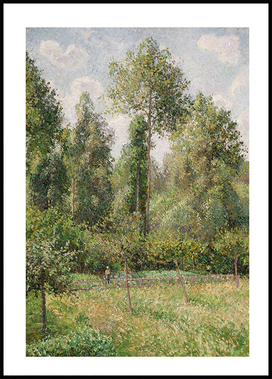 Pôster de Álamos Éragny por Camille Pissarro 