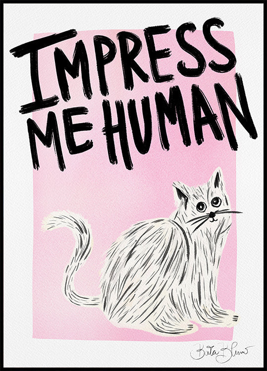 Pôster Dono do Gato - Impressione-me Humano