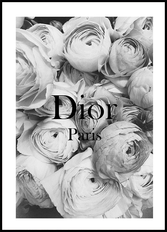 Pôster Dior Ranunculus 