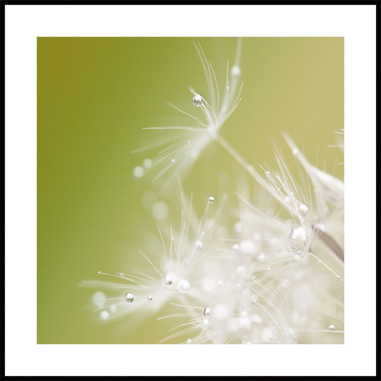 Póster Verde