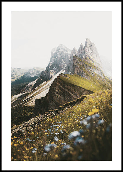 Pôster de flores e picos alpinos 