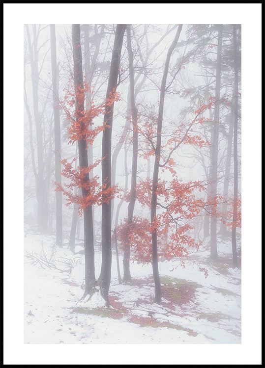 Póster Autumn Snow