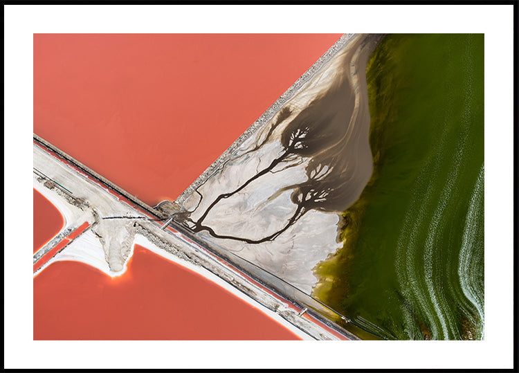 A pintura da natureza