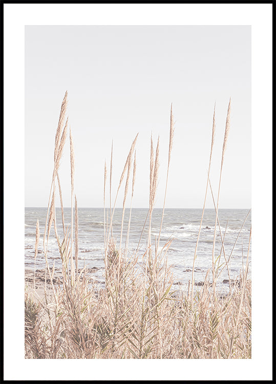 Pôster Beach_Vass_001