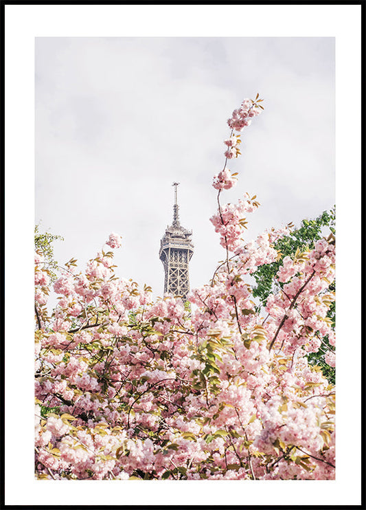 Cartaz de Paris 