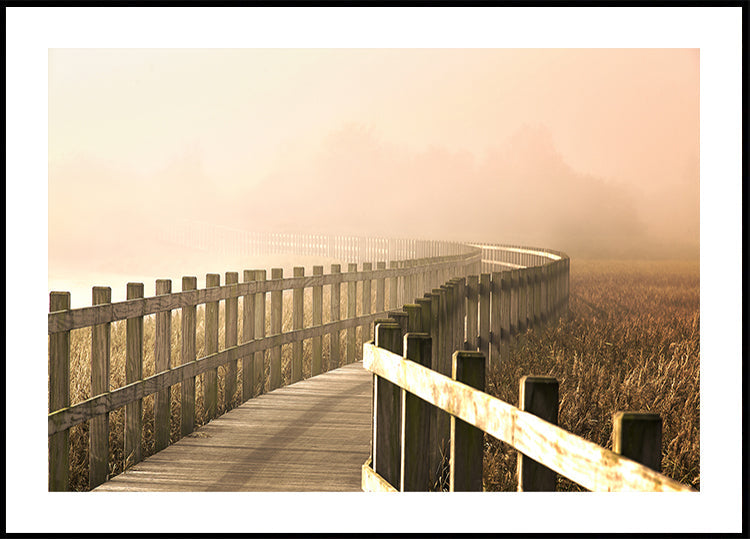 O Caminho fica mais brilhante.