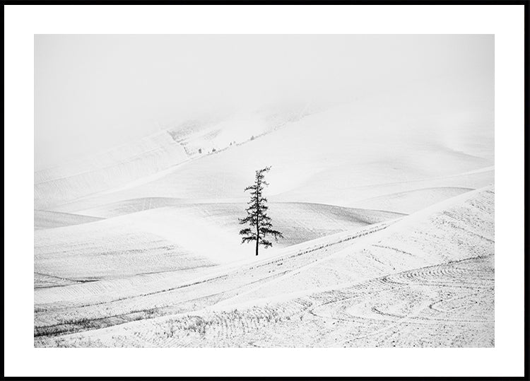 Póster Pagando respeito