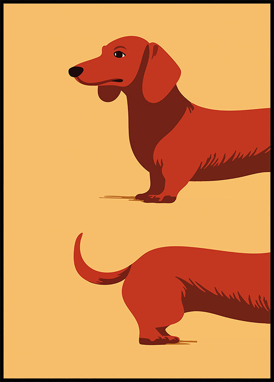 Pôster Dachshund