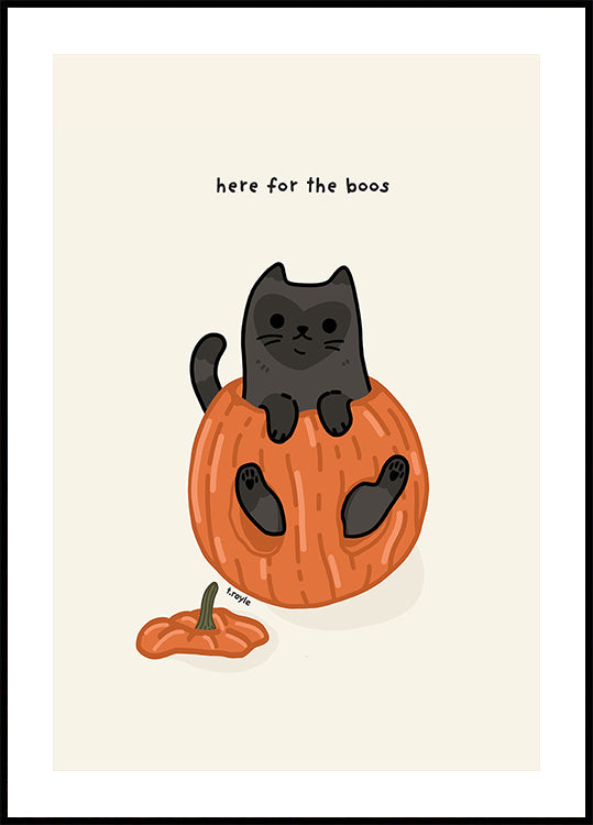 Gato preto sentado brincando em uma abóbora