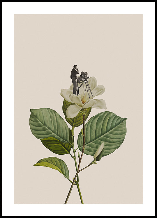 Póster Botanical vintage cameraman