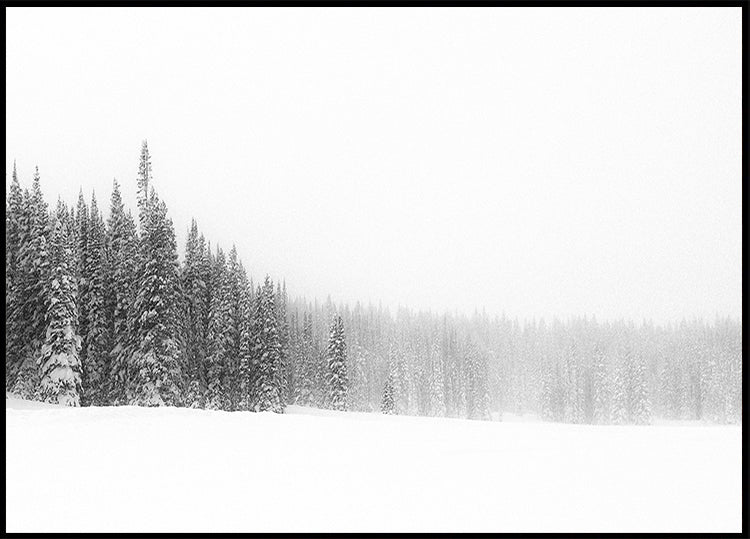 Pôster Floresta para as árvores